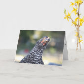 Het grappige Wenskaart van de Kip Kaart (Gele Bloem)