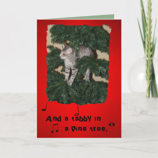 Het grappige wenskaart van Kerstmis van de Kat Feestdagen Kaart