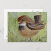 Het gras doorzoeken briefkaart (Voorkant / Achterkant)