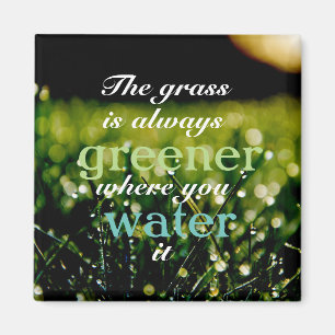 Het gras is altijd groener waar je het water geeft magneet
