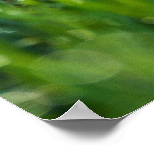 Het gras is altijd groener waar je het water geeft poster (Hoek)