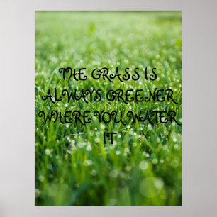Het gras is altijd groener waar je het water geeft poster