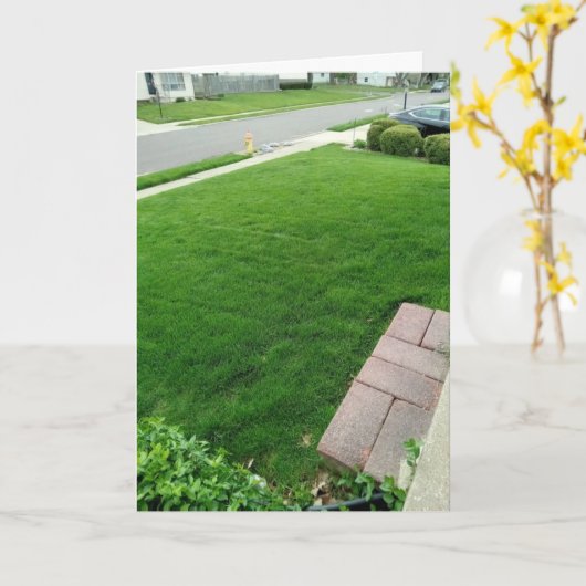 Het gras is groene KAART (Gele Bloem)