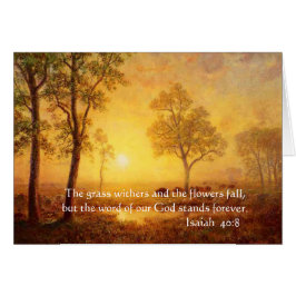 Het gras overwintert...