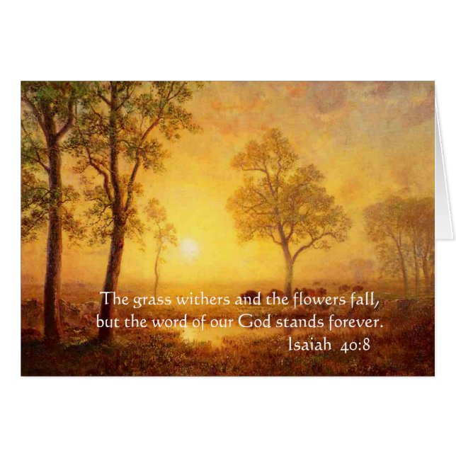 Het gras overwintert... (Voorkant Horizontaal)