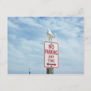 Het gratis parkeren van de vogel briefkaart