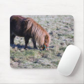 Het grazen van de pony op de paddock. muismat (Met muis)