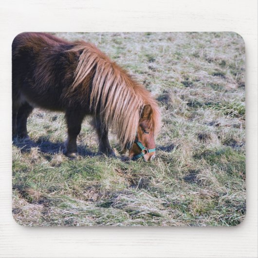 Het grazen van de pony op de paddock. muismat (Voorkant)
