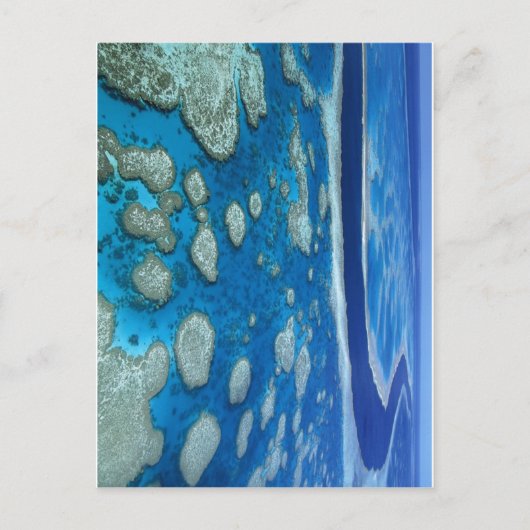 Het Great Barrier Reef Briefkaart (Voorkant)