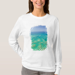 Het Great Barrier Reef, luchtfoto van Green T-shirt