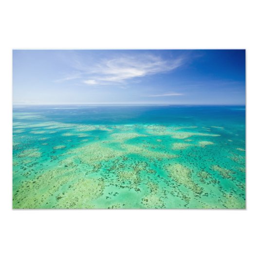 Het Great Barrier Reef, uitzicht van Groen vanuit  Foto Afdruk (Voorkant)