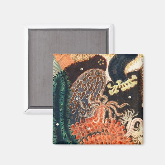 Het Great Barrier Reef van Australië Magneet (Voorkant / Achterkant)