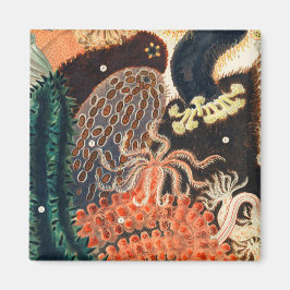 Het Great Barrier Reef van Australië Magneet