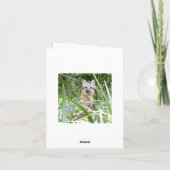 Het grijze Wenskaart van de Vos Kaart (Achterkant)