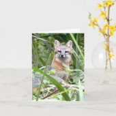 Het grijze Wenskaart van de Vos Kaart (Gele Bloem)