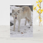 Het grijze Wenskaart van de Wolf Kaart (Gele Bloem)