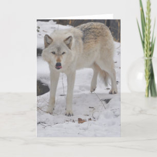 Het grijze Wenskaart van de Wolf Kaart