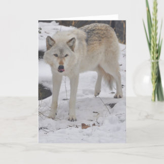 Het grijze Wenskaart van de Wolf Kaart