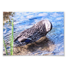 Het groeiend effect foto afdruk