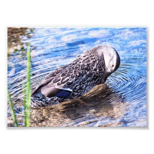 Het groeiend effect foto afdruk (Voorkant)