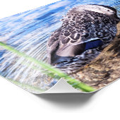 Het groeiend effect foto afdruk (Hoek)