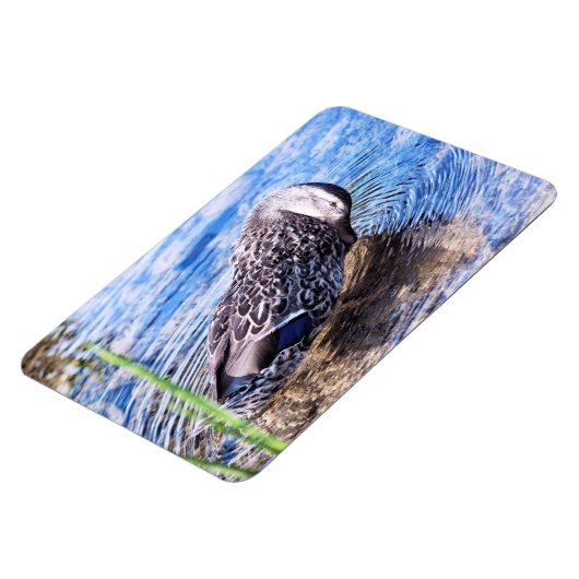 Het groeiend effect magneet (Linkerzijde)