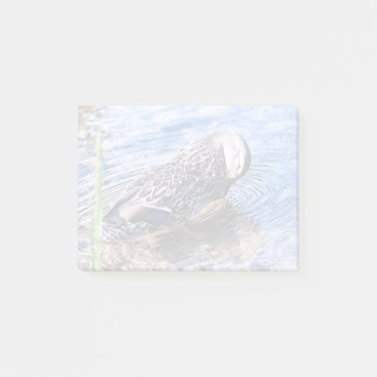 Het groeiend effect post-it® notes (Voorkant)