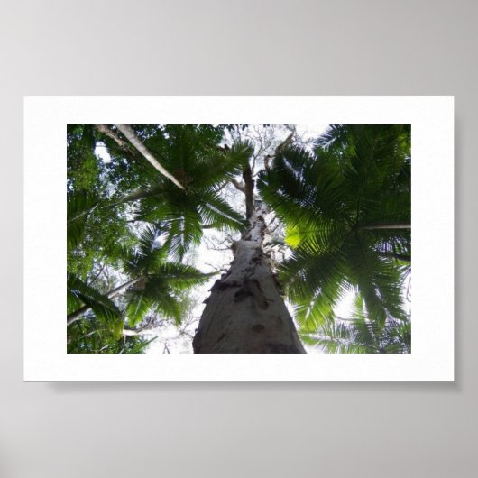 Het groen boven Australië kleurenfotografie Poster (Voorkant)