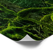 Het groen in de bomen Poster (Hoek)