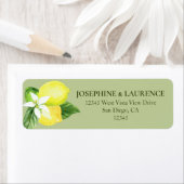 Het groene Adres van de Terugkeer van de Lemons va Etiket (Insitu)