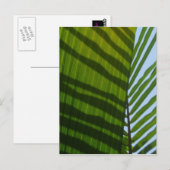 Het Groene Blad van de abstracte Fotografie Briefkaart (Voorkant / Achterkant)