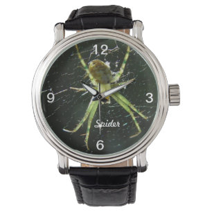 Het groene gloeiende Horloge van de Spin
