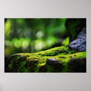 Het groene leven poster