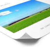 Het groene Poster van de Vineyard Natuur van de Vi (Hoek)