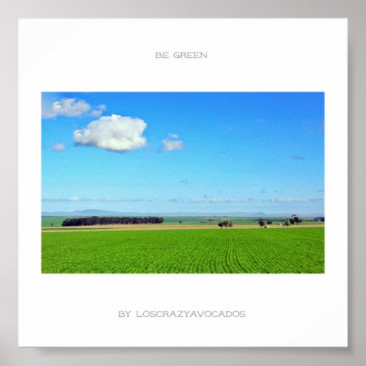 Het groene Poster van de Vineyard Natuur van de Vi (Voorkant)