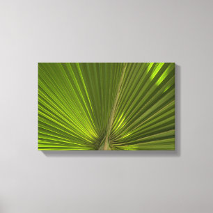 Het groene Tropische Varenblad van de Palm Canvas Afdruk