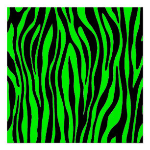 Het Groene Zebra van het limoen Poster