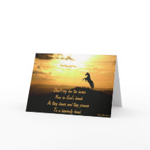 Het Grootbrengen van het paard in het Silhouet van