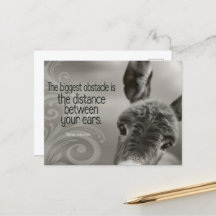 "Het grootste obstakel" Inspirerend quote