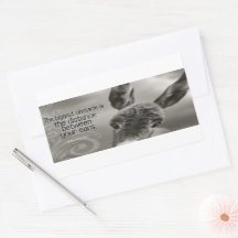 "Het grootste obstakel" Inspirerend quote