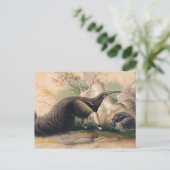 Het Grote Anteater van Joseph Wolf Briefkaart (Staand voorkant)