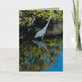 Het grote Blauwe Wenskaart van de Reiger #1 Kaart