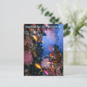 Het grote Briefkaart van het Barrièrerif (Staand voorkant)