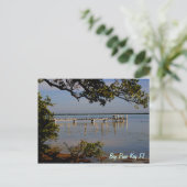 Het grote Dok van de Vogel van de Pijnboom Zeer Briefkaart (Staand voorkant)