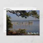 Het grote Dok van de Vogel van de Pijnboom Zeer Briefkaart (Voorkant / Achterkant)