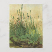 Het grote grasveld van Albrecht Dürer Briefkaart (Voorkant)