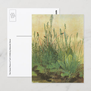 Het grote grasveld van Albrecht Dürer Briefkaart