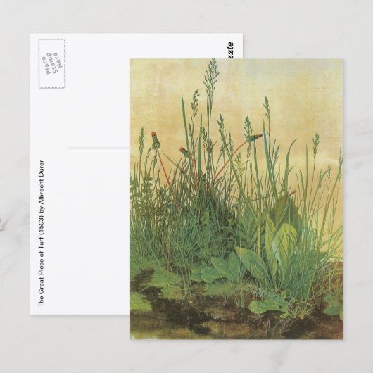 Het grote grasveld van Albrecht Dürer Briefkaart (Voorkant / Achterkant)