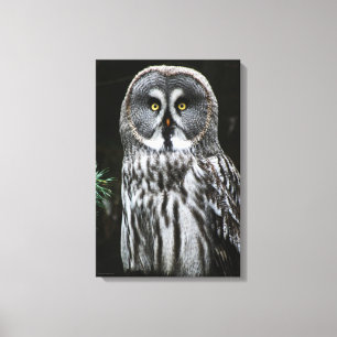 Het grote grijze sleepnet 16 x 24 (40 x 60 cm) canvas afdruk