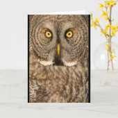 Het grote grijze wenskaart van de Uil Kaart (Gele Bloem)